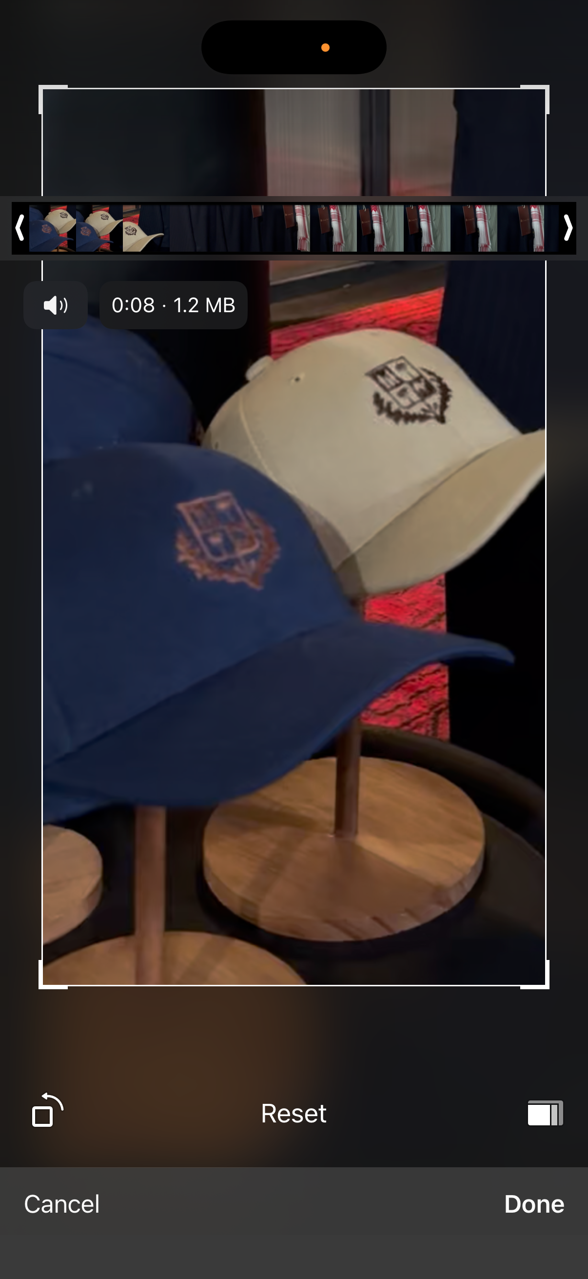 Loro barad cap